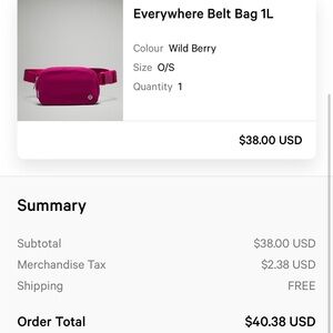 Lululemon NEW Everywhere Belt Bag